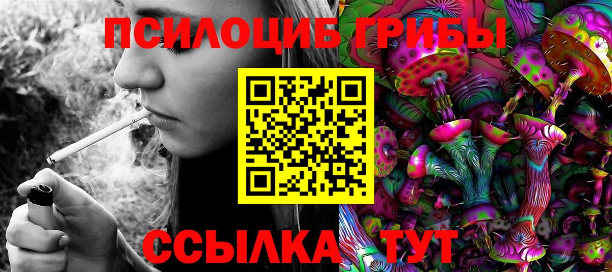 Галлюциногенные грибы Magic Shrooms  Вход с VPN  Родники  Галлюциногенные грибы Magic Shrooms 