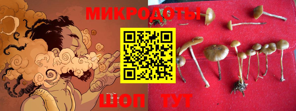 Галлюциногенные грибы GOLDEN TEACHER Родники