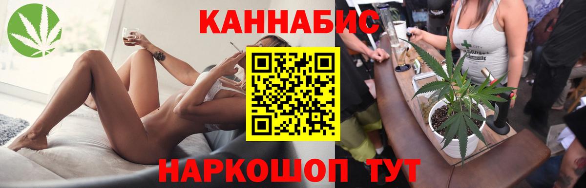 Конопля сатива Родники